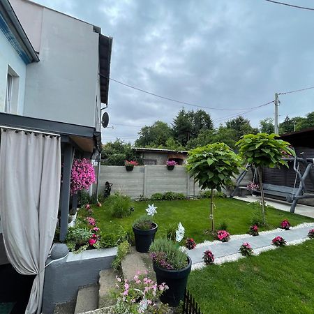 Złoty Stok Apartament U Danusi מראה חיצוני תמונה