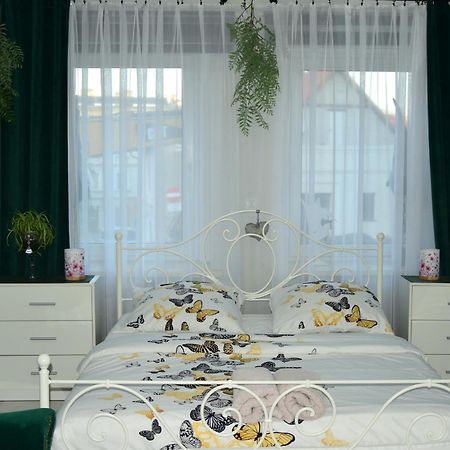 Złoty Stok Apartament U Danusi מראה חיצוני תמונה