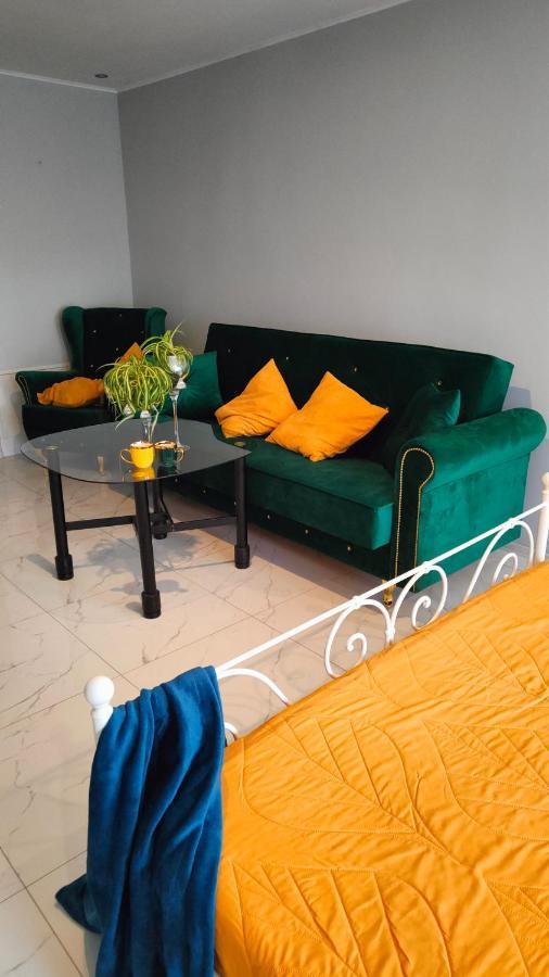 Złoty Stok Apartament U Danusi מראה חיצוני תמונה