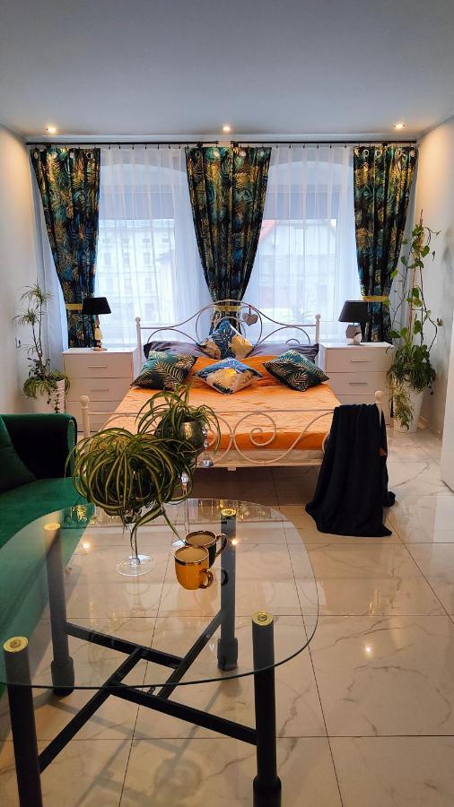Złoty Stok Apartament U Danusi מראה חיצוני תמונה