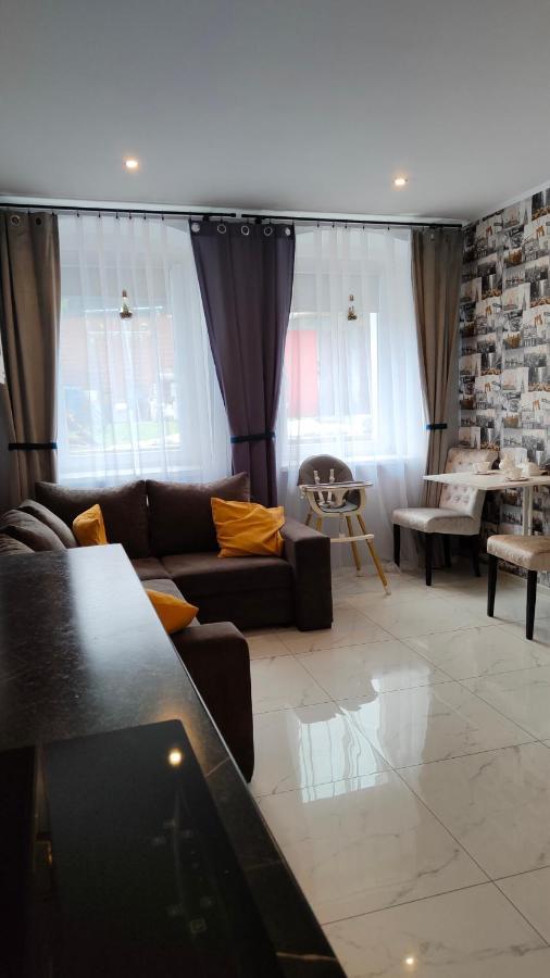 Złoty Stok Apartament U Danusi מראה חיצוני תמונה