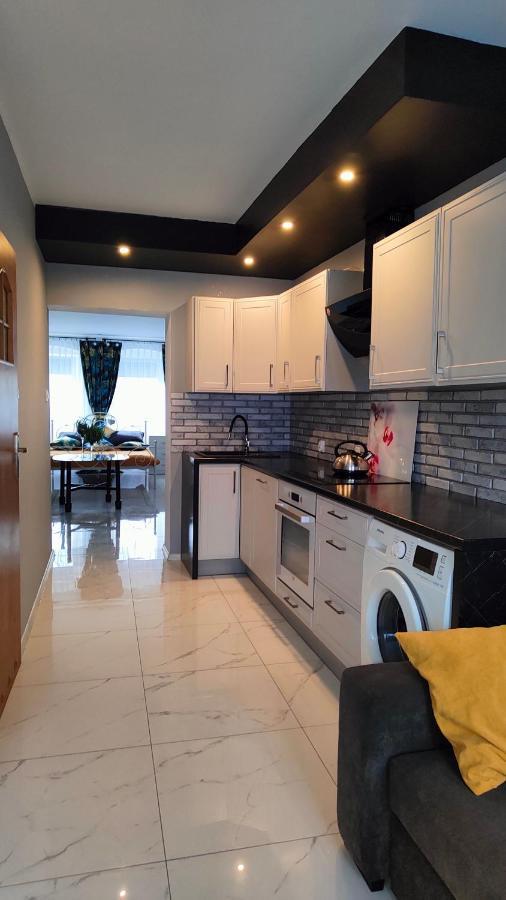 Złoty Stok Apartament U Danusi מראה חיצוני תמונה