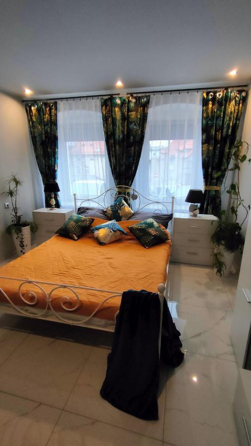 Złoty Stok Apartament U Danusi מראה חיצוני תמונה