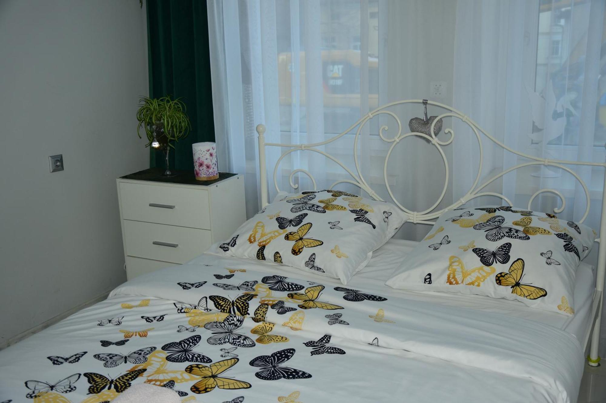Złoty Stok Apartament U Danusi מראה חיצוני תמונה